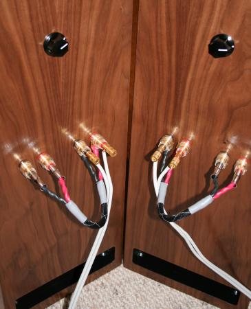 Rear of a pair of Apex III speakers in walnut veneer with bi-wire binding posts and jumper wires